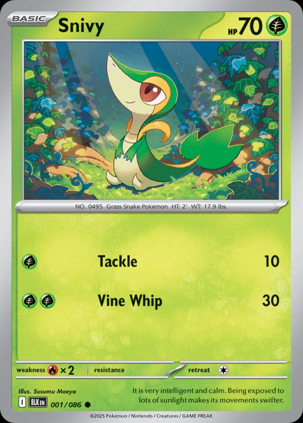 Snivy BLK 001 Common